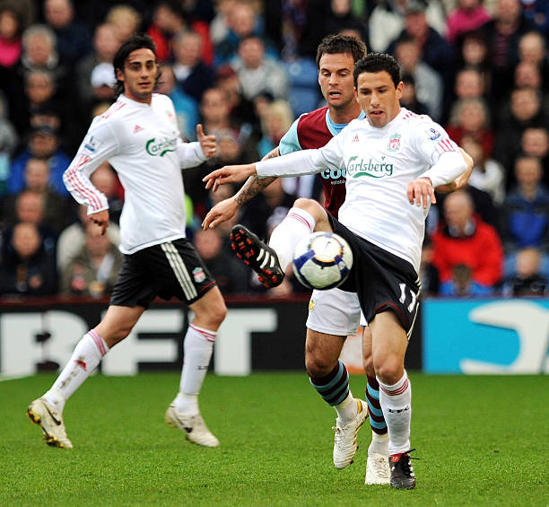 這一預測的 這一預測的