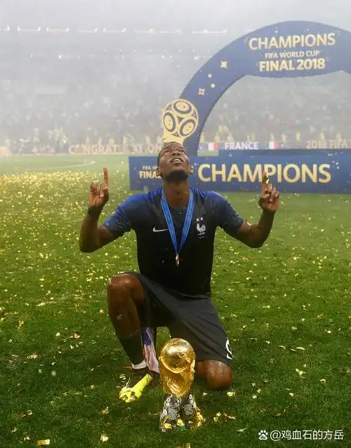 楊瀚森的大 楊瀚森的大